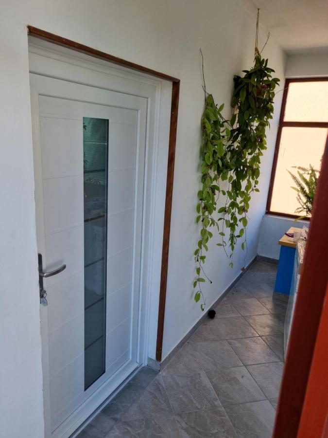 Apartment Josip Murter Esterno foto